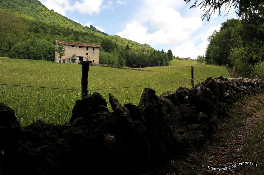 013 Cascine Ral.JPG